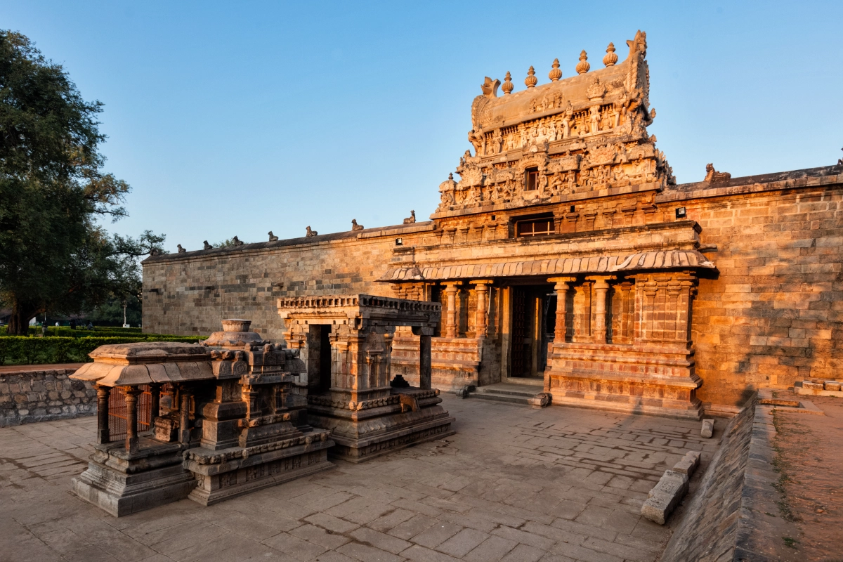 Main Image