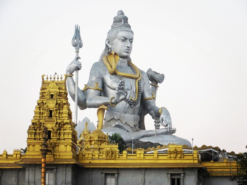 Main Image